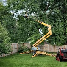 Best Hazardous Tree Removal  in Prineville Lake Acres, OR