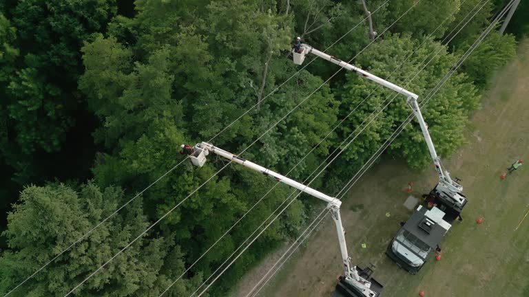 Prineville Lake Acres, OR Tree Services Company